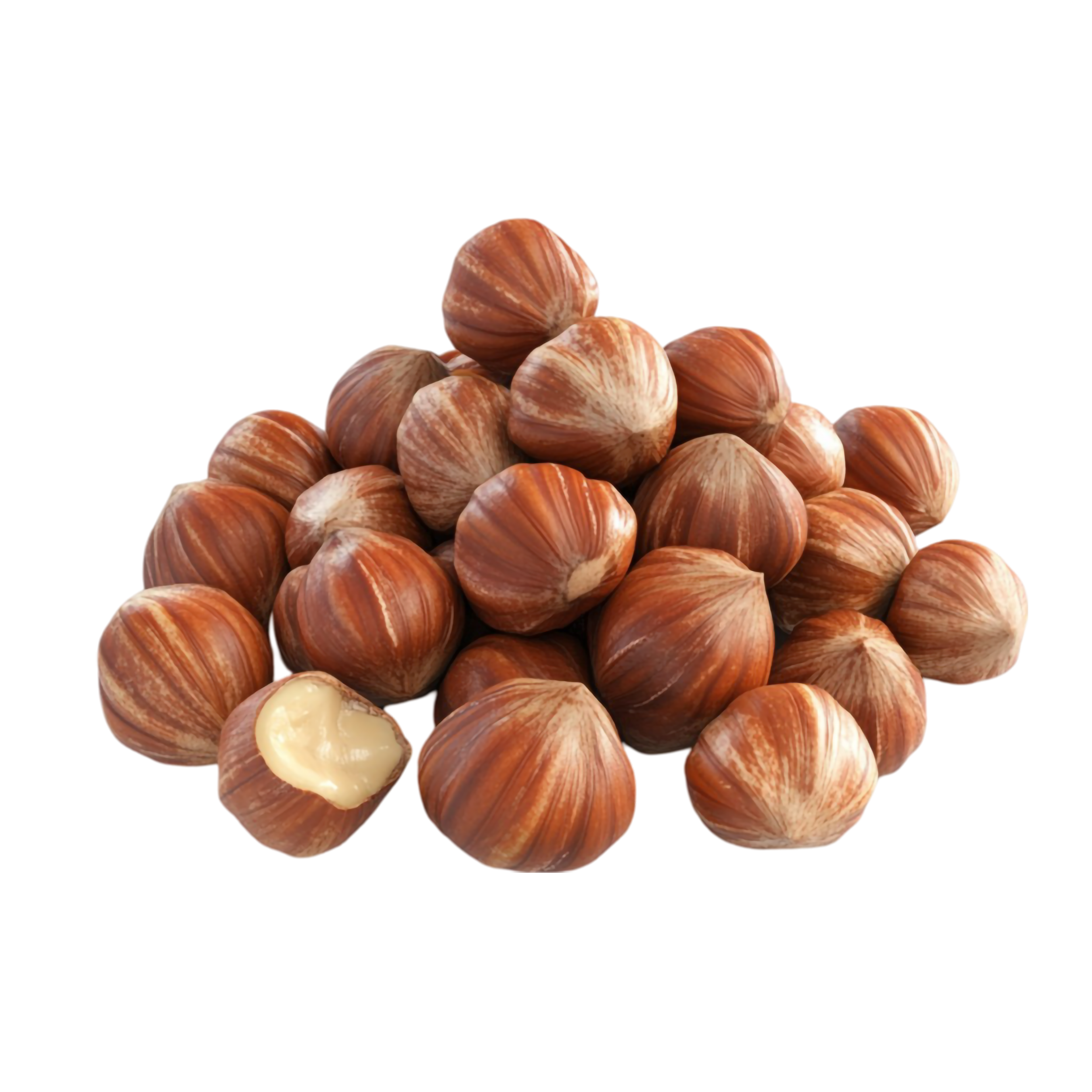 Rohe Bio-Haselnüsse von Sufinas